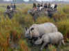 US envoy praises Kaziranga's conservation efforts