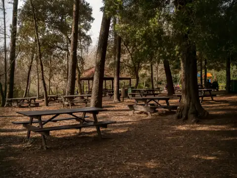 Sajjangarh Biological Park