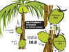 Why India should corporatise Kerala's coconut