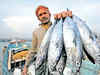 Problems plaguing Kerala's once-thriving fishing industry