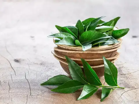 Curry Leaves