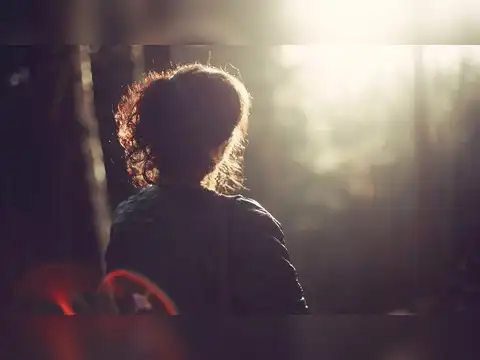 The Four Lives We Lead