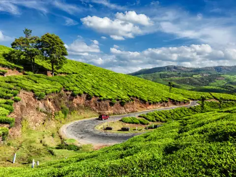 Munnar to Thekkady (Kerala)