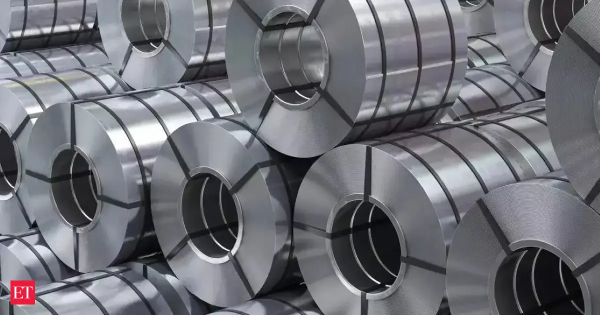 Government to finalise view on liquidation of Bhushan Power and Steel ...