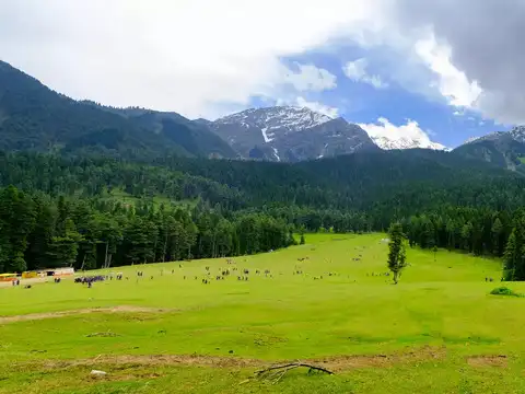Trigger &ndash; The Pahalgam Massacre