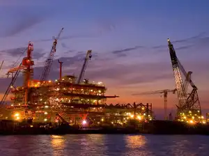 OTC 2025: India showcases offshore energy investment opportunities ...