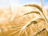 Budget 2012: Finance ministry set to hike agriculture lending target despite sharp rise in NPAs