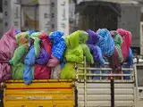 Premiers arrivées en Inde La pluie de mousson égaye les perspectives de culture