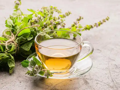 Lemon Balm Tea
