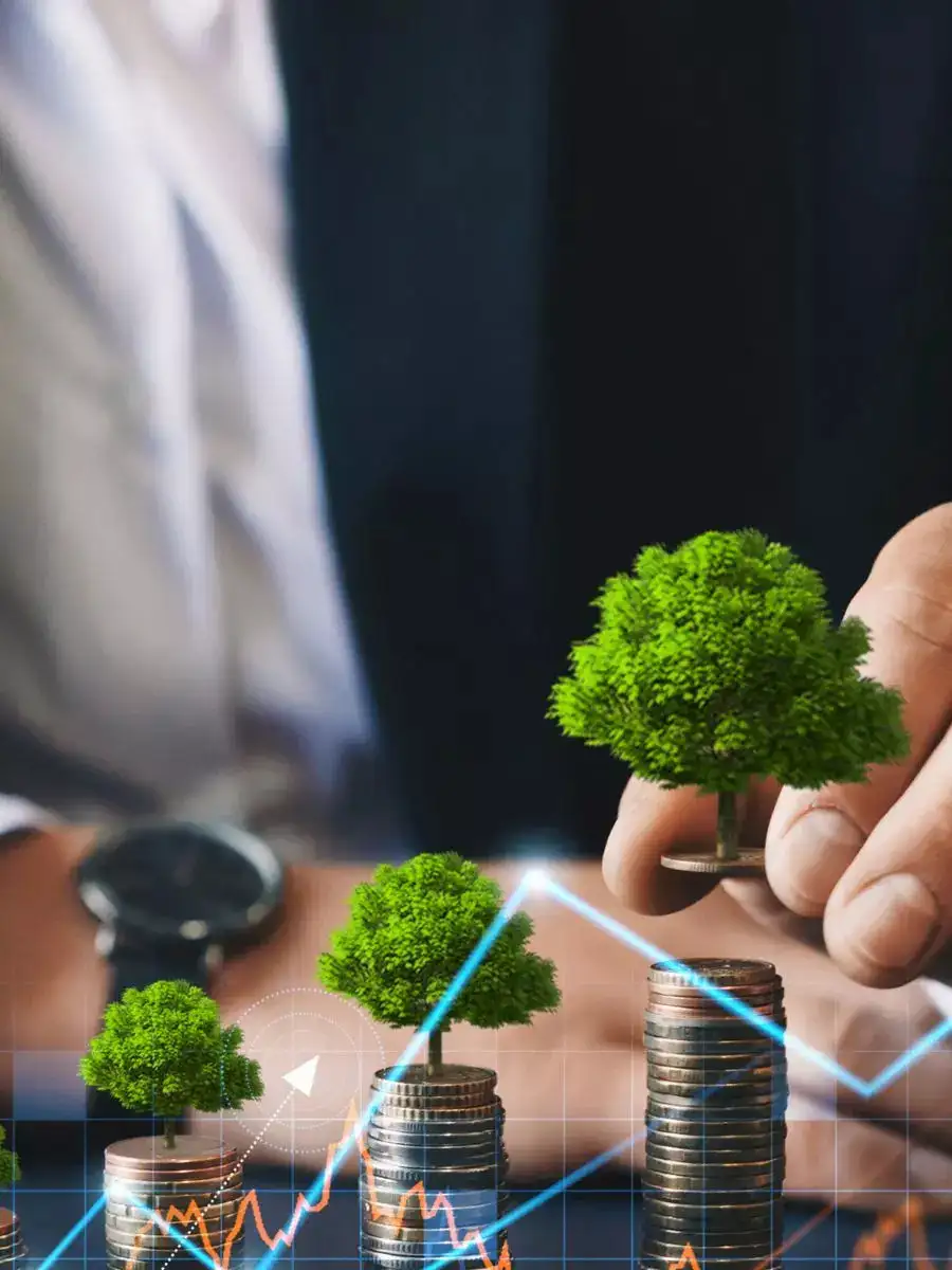 Top 5 large cap funds with returns up to 36% in 5 years as on May 14, 2025