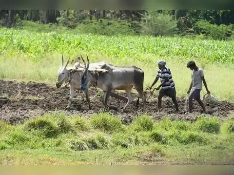 Rural boost from monsoon