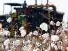 Not happy with ban on cotton exports: Dhiren N Sheth