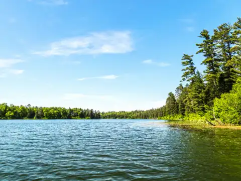 Bhardwaj Lake &ndash; Delhi&rsquo;s Secret Reservoir