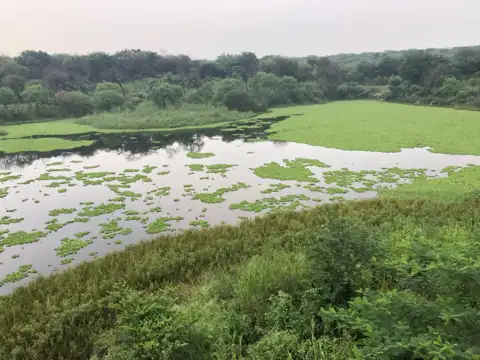 Sanjay Van &ndash; The Urban Forest