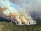 Canada wildfires: Out of control wildfire explodes across BC-Alberta border, for:Image