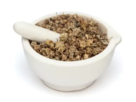 Gokshura (Tribulus terrestris)