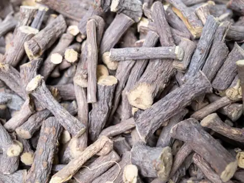 Giloy (Tinospora cordifolia)