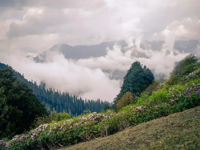 https://img.etimg.com/thumb/msid-121690925%2Cwidth-640%2Cheight-480%2Cimgsize-152144%2Cresizemode-4/shoja-himachal-pradesh.jpg