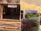 Not Shani Shingnapur near Shirdi. This Indian village also has no shopkeepers or locks. Why?