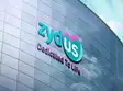 PE firm True North exits Zydus Wellness; sells 7.27% stake for Rs 879 crore