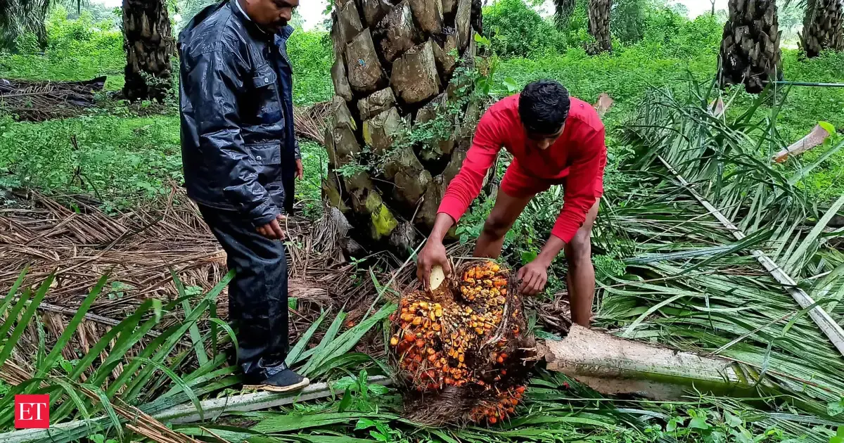 Indian refiners cancel palm oil orders for July-Sept as prices surge