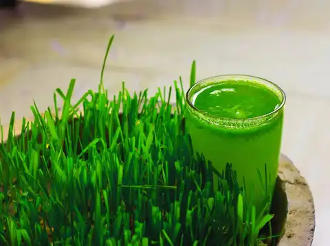 Wheatgrass