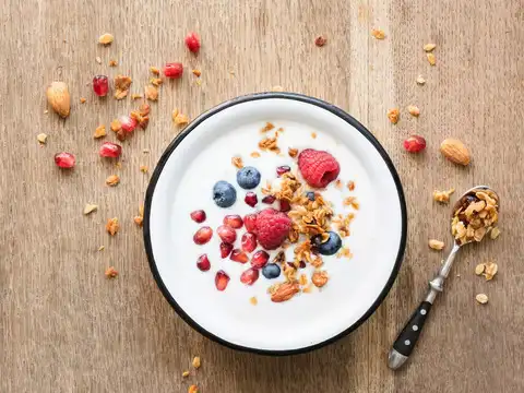 Greek Yogurt or Dahi with Berries