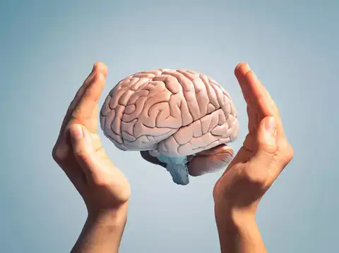Supports Brain Health