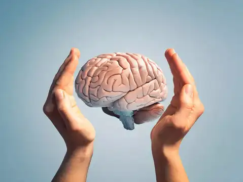 Brain Health Boost