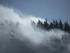 Canada wildfire: Unstoppable fires and record heat trigger Yukon's biggest evacu:Image