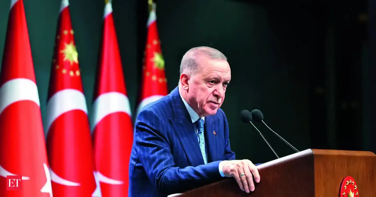 Turkey's President Erdogan says won't let terror 'drag Syria back to instability' - The Economic Times