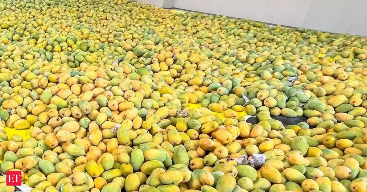 Centre approves procurement of  2.5 lakh tonnes of mangoes from Karnataka