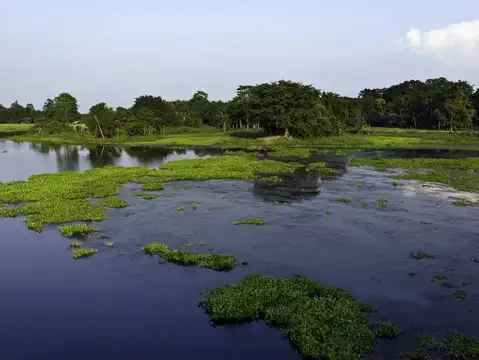 Majuli, Assam