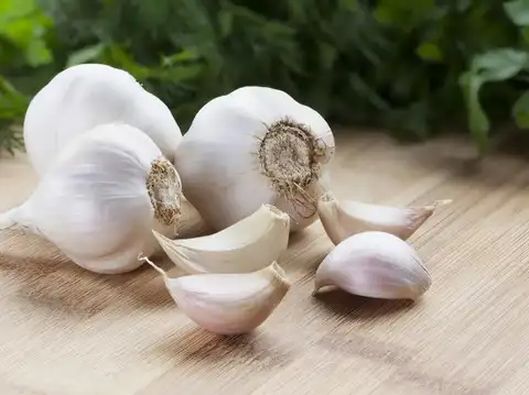 Consume Basil or Garlic