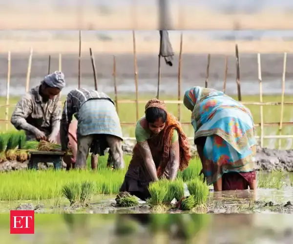 business after magnets china now plants agriculture barrier for india