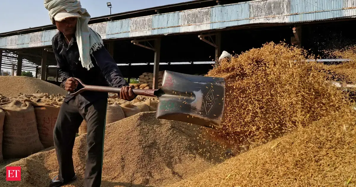 From shortage to surplus: India pours record rice crop into ethanol