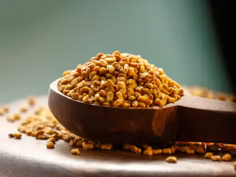  Fenugreek 