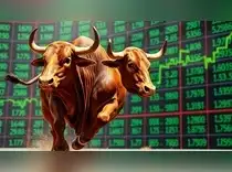 Indian Bull Market Charges Ahead