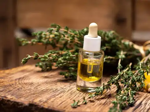 Rosemary Oil