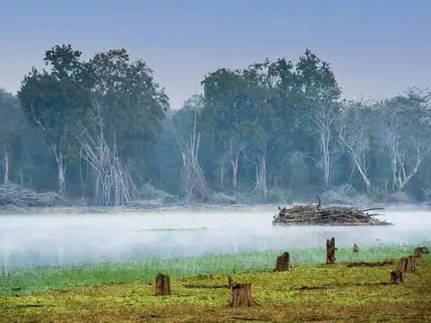 Kabini Wildlife Sanctuary, Karnataka