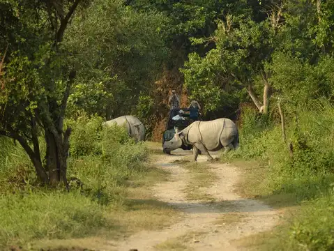 Kaziranga National Park (Edge Zones), Assam