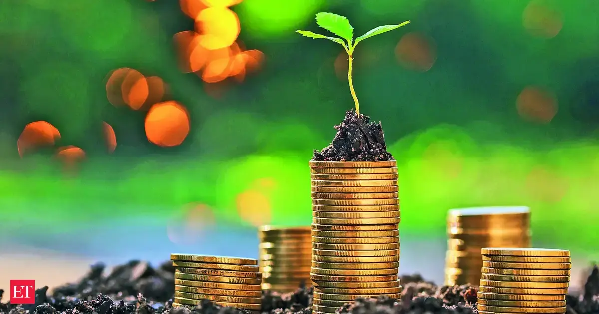 Finmin pitches rating upgrade to S&P citing robust growth