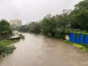Monsoon mayhem: Bridge washed away, houses collapse as heavy rains batter Jharkhand