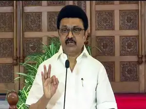 Tamil Nadu: CM Stalin announces Rs 4 lakh aid after five workers die in rockslide at stone quarry in Mallakottai