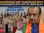 Namazwadi, not Samajwadi: BJP's Sudhanshu hits out at INDIA bloc over anti-Waqf protest
