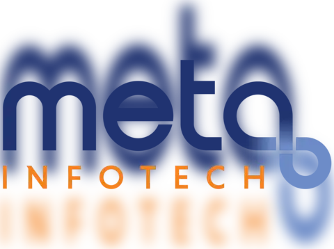 Meta Infotech Limited IPO