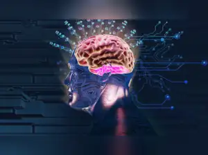 Women face higher risk of cognitive decline from polluting cooking fuels