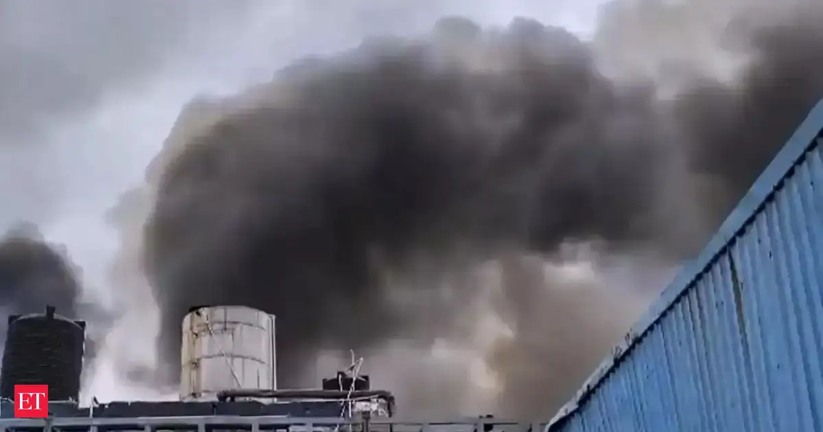 Sigachi temporarily suspends production at Hyderabad unit for 90 days after fire incident