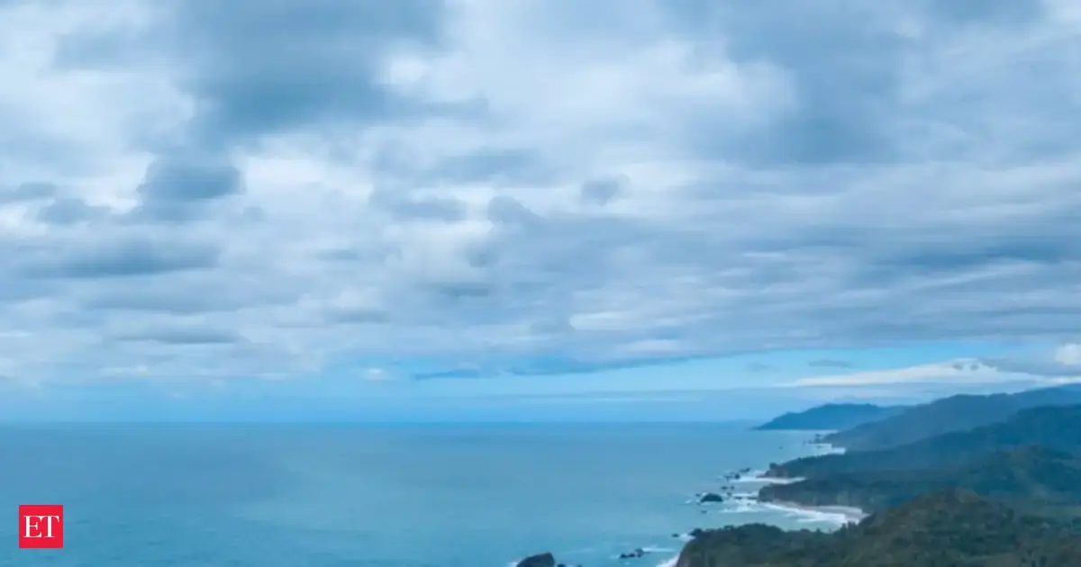 New Zealand criticized for weak ocean protection efforts