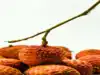 4 foods to eat and 4 to avoid to stay healthy this monsoon!